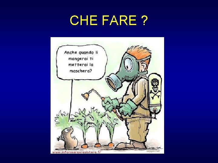 CHE FARE ? 