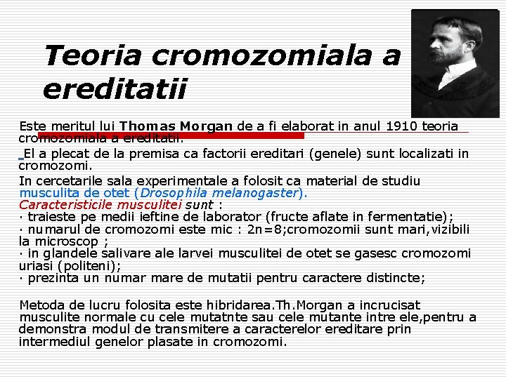 Teoria cromozomiala a ereditatii Este meritul lui Thomas Morgan de a fi elaborat in