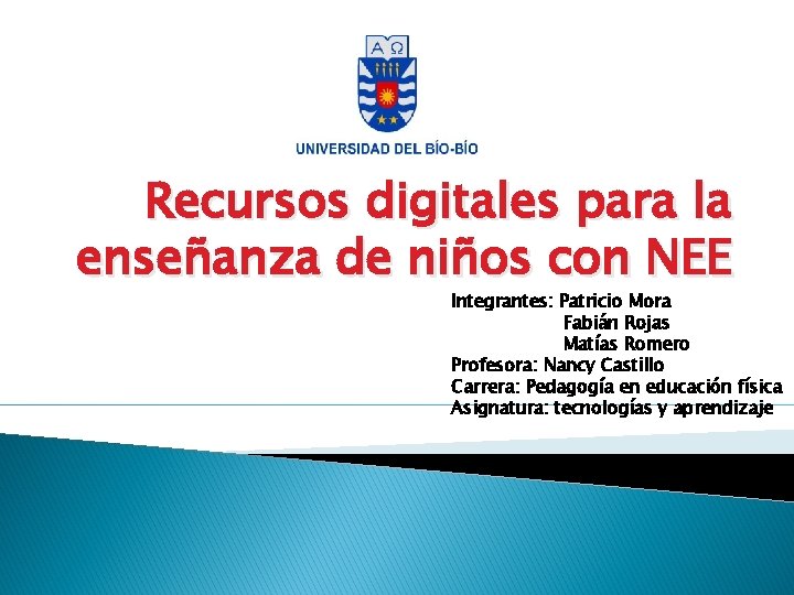 Recursos digitales para la enseñanza de niños con NEE Integrantes: Patricio Mora Fabián Rojas