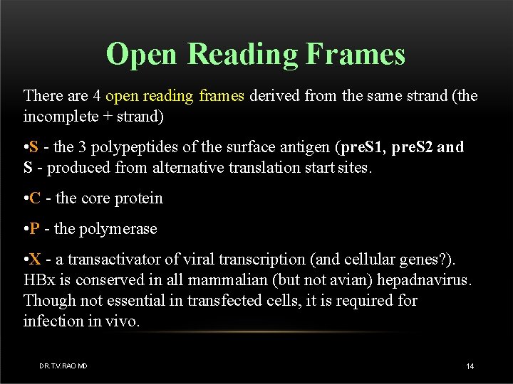 Open Reading Frames There are 4 open reading frames derived from the same strand