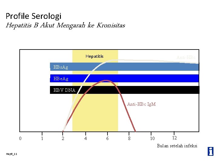 Profile Serologi Hepatitis B Akut Mengarah ke Kronisitas Hepatitis Anti-HBc HBs. Ag HBe. Ag