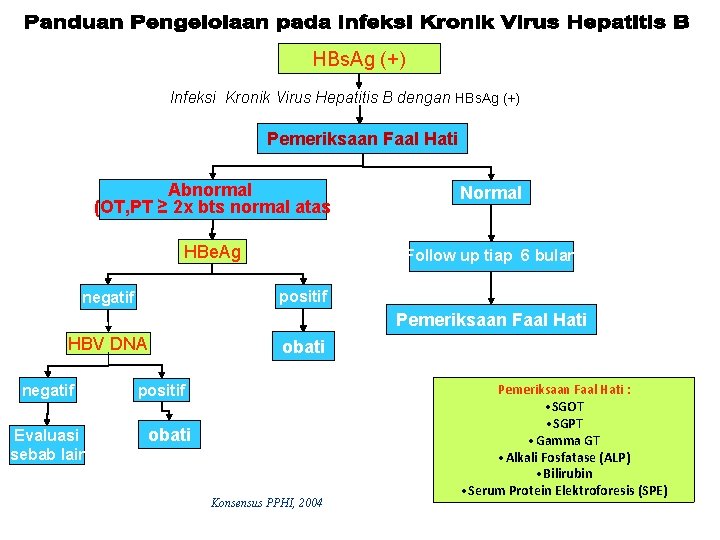 HBs. Ag (+) Infeksi Kronik Virus Hepatitis B dengan HBs. Ag (+) Pemeriksaan Faal