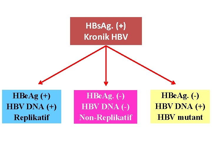 HBs. Ag. (+) Kronik HBV HBe. Ag (+) HBV DNA (+) Replikatif HBe. Ag.