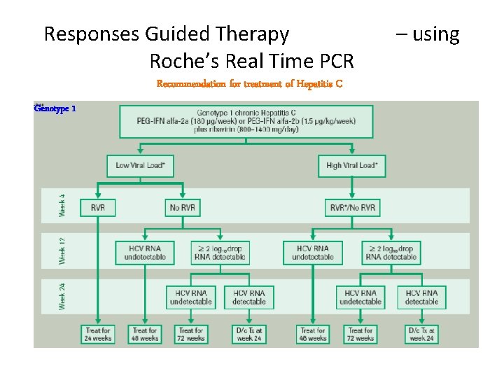 Responses Guided Therapy Roche’s Real Time PCR Recommendation for treatment of Hepatitis C Genotype