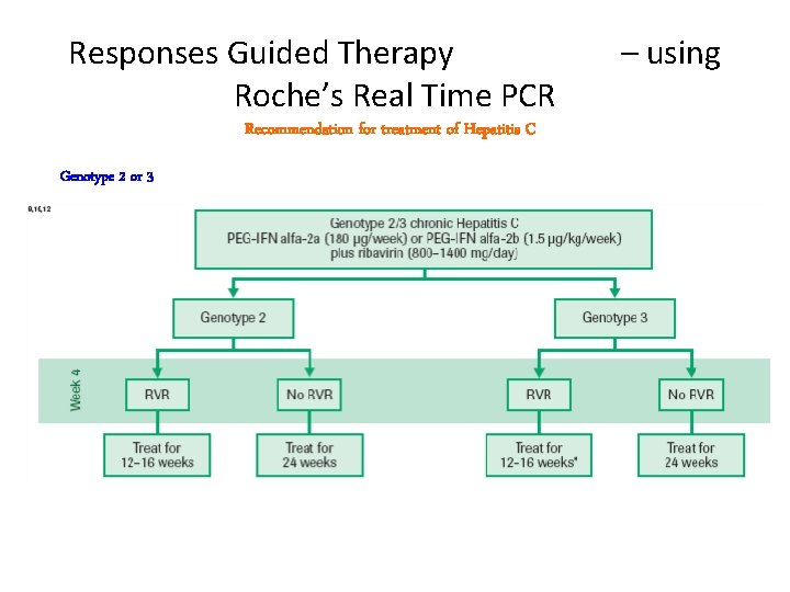 Responses Guided Therapy Roche’s Real Time PCR Recommendation for treatment of Hepatitis C Genotype