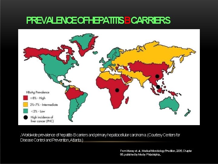 PREVALENCEOFHEPATITISBCARRIERS . Worldwide prevalence of hepatitis B carriers and primary hepatocellular carcinoma. (Courtesy Centers