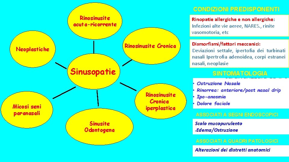 CONDIZIONI PREDISPONENTI Rinosinusite acuta-ricorrente Rinopatie allergiche e non allergiche: Infezioni alte vie aeree, NARES. CONDIZIONI PREDISPONENTI Rinosinusite acuta-ricorrente Rinopatie allergiche e non allergiche: Infezioni alte vie aeree, NARES.