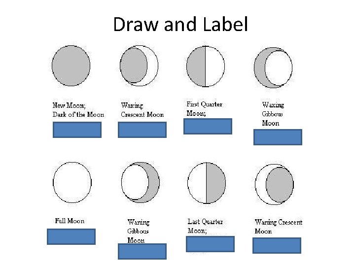 Draw and Label 