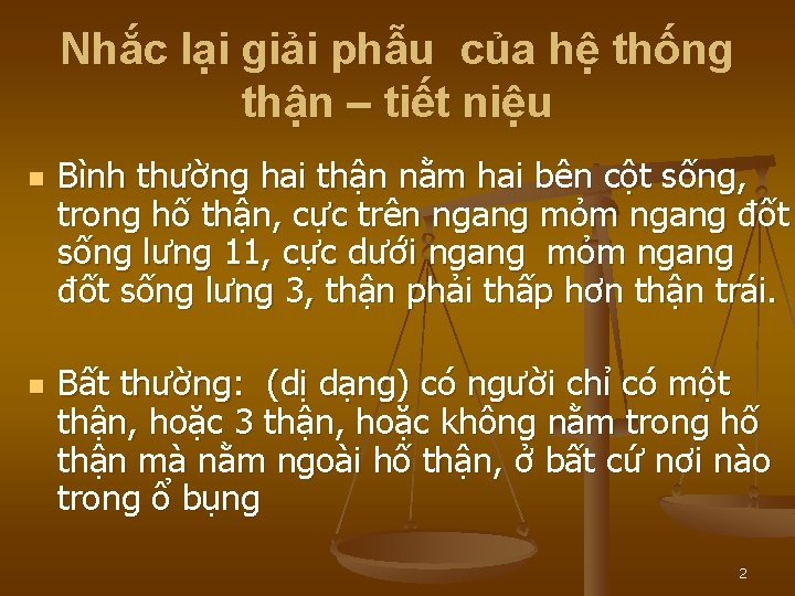 Nhắc lại giải phẫu của hệ thống thận – tiết niệu n n Bình