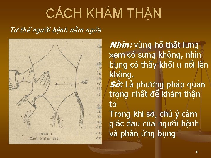 CÁCH KHÁM THẬN Tư thế người bệnh nằm ngửa Nhìn: vùng hố thắt lưng