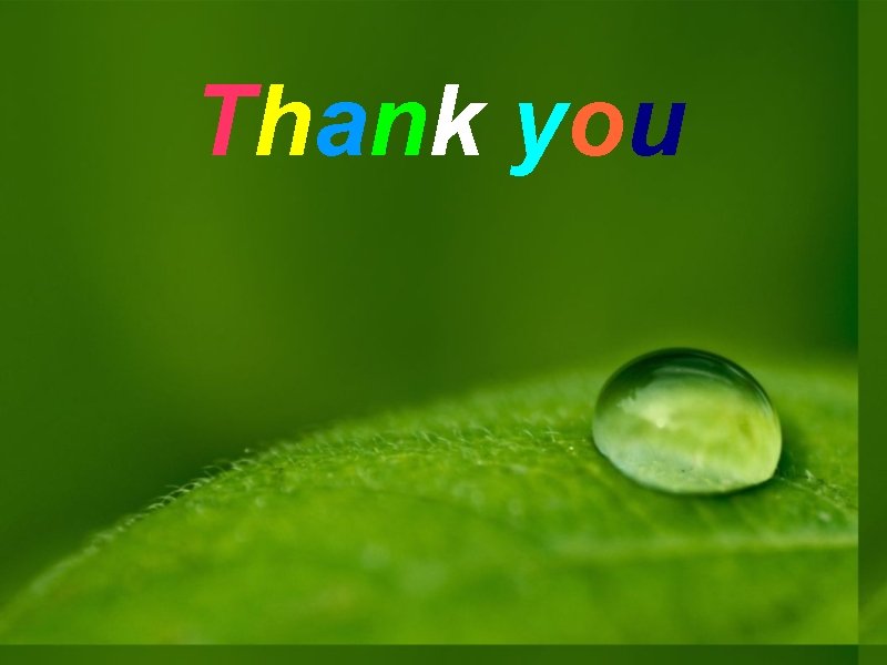 Thank you Thank you