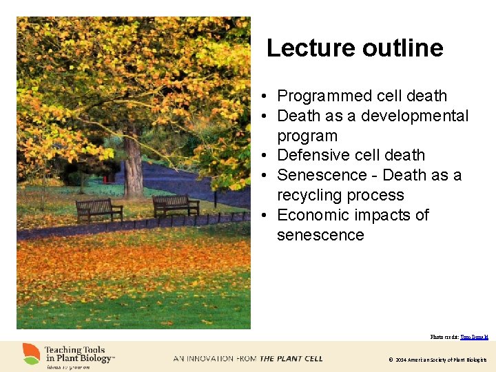 Lecture outline • Programmed cell death • Death as a developmental program • Defensive