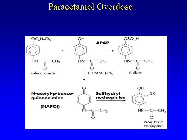 Paracetamol Overdose 