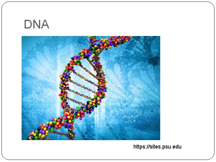 DNA https: //sites. psu. edu 