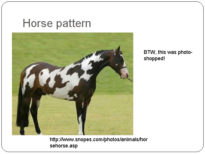 Horse pattern BTW, this was photoshopped! http: //www. snopes. com/photos/animals/hor sehorse. asp 