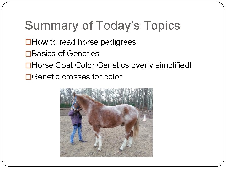 Summary of Today’s Topics �How to read horse pedigrees �Basics of Genetics �Horse Coat