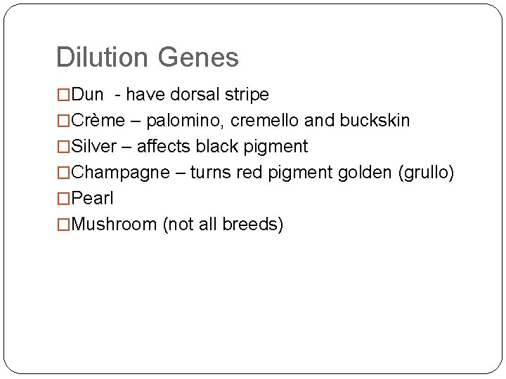Dilution Genes �Dun - have dorsal stripe �Crème – palomino, cremello and buckskin �Silver
