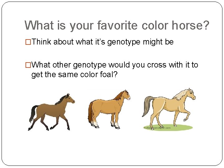 What is your favorite color horse? �Think about what it’s genotype might be �What