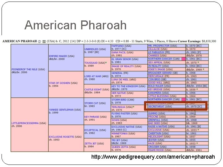 American Pharoah http: //www. pedigreequery. com/american+pharoah 