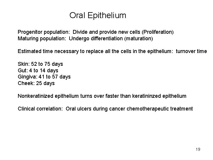 Oral Epithelium Progenitor population: Divide and provide new cells (Proliferation) Maturing population: Undergo differentiation