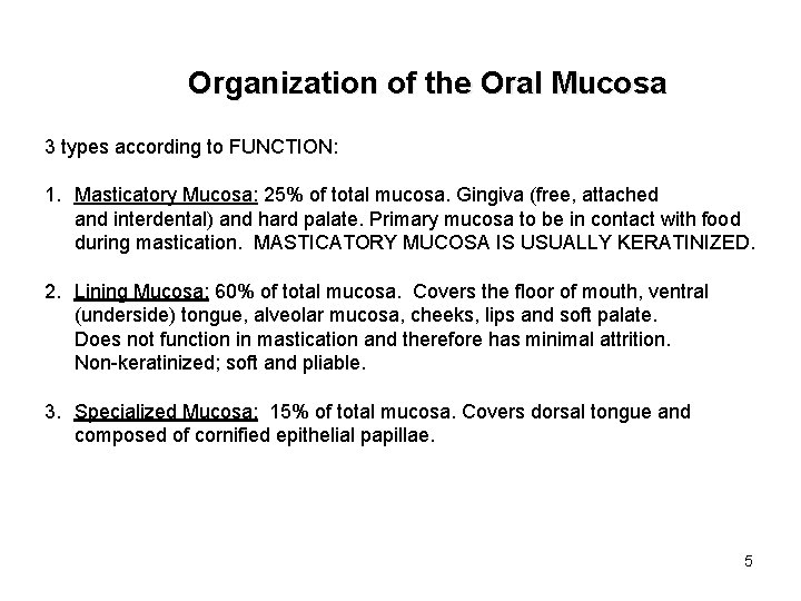 Organization of the Oral Mucosa 3 types according to FUNCTION: 1. Masticatory Mucosa: 25%