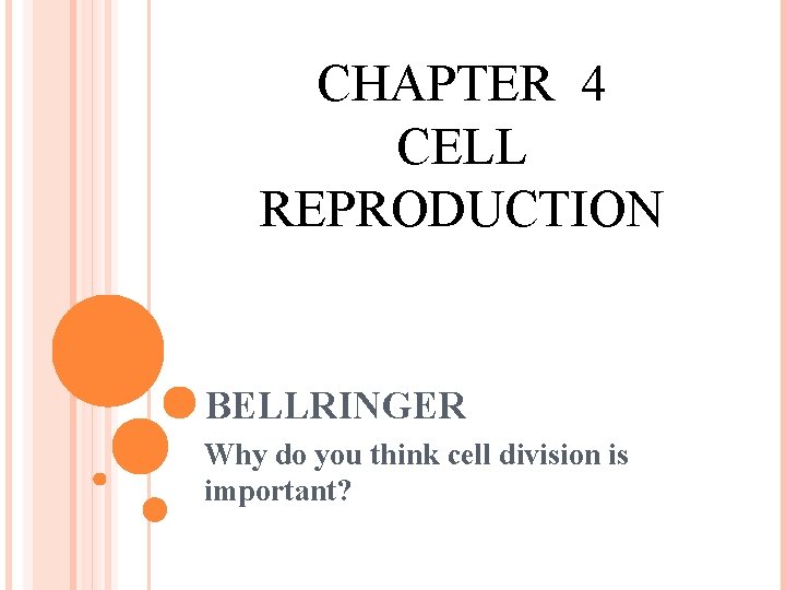 CHAPTER 4 CELL REPRODUCTION BELLRINGER Why do you think cell division is important? 