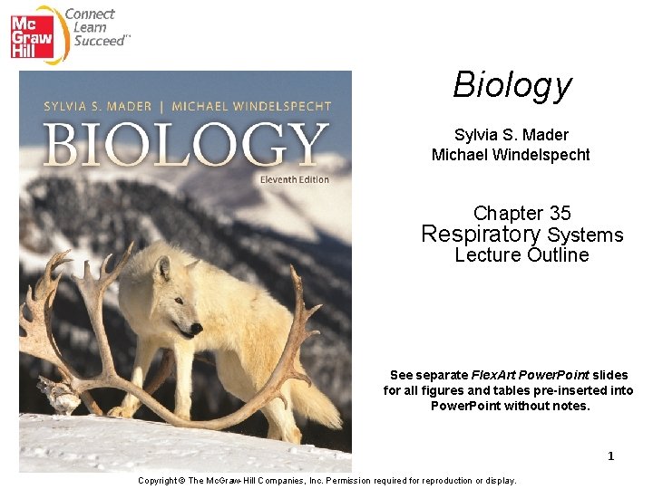 Biology Sylvia S. Mader Michael Windelspecht Chapter 35 Respiratory Systems Lecture Outline See separate