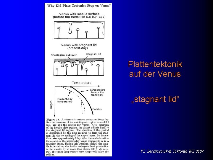 Plattentektonik auf der Venus „stagnant lid“ VL Geodynamik & Tektonik, WS 0809 