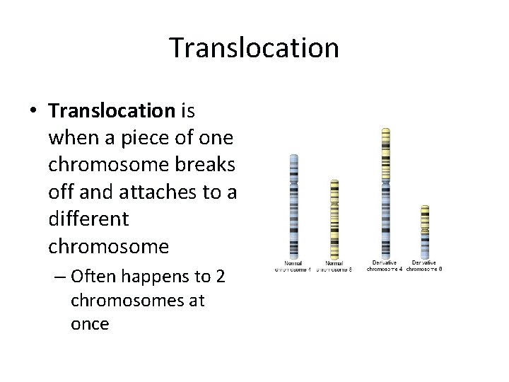 Translocation • Translocation is when a piece of one chromosome breaks off and attaches Translocation • Translocation is when a piece of one chromosome breaks off and attaches