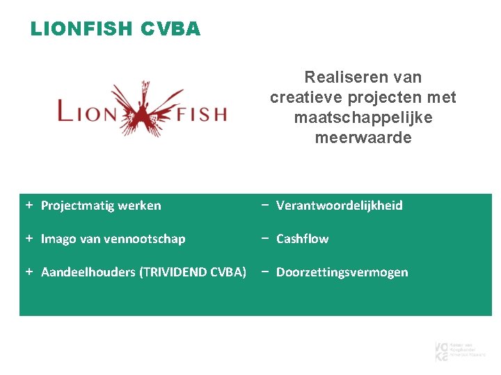 LIONFISH CVBA Realiseren van creatieve projecten met maatschappelijke meerwaarde + Projectmatig werken − Verantwoordelijkheid