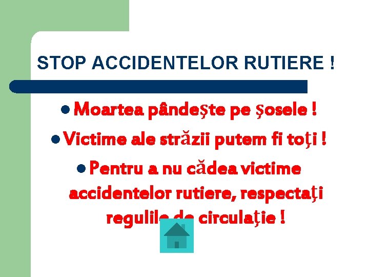 STOP ACCIDENTELOR RUTIERE ! l Moartea pândeşte pe şosele ! l Victime ale străzii