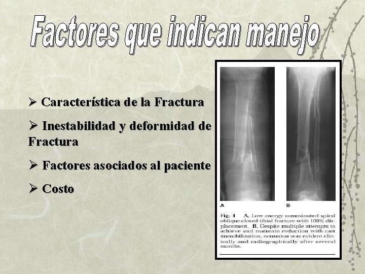 Ø Característica de la Fractura Ø Inestabilidad y deformidad de la Fractura Ø Factores