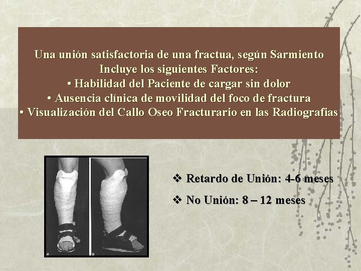 Una unión satisfactoria de una fractua, según Sarmiento Incluye los siguientes Factores: • Habilidad