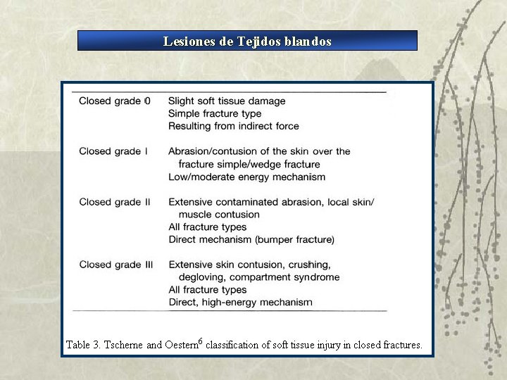 Lesiones de Tejidos blandos 