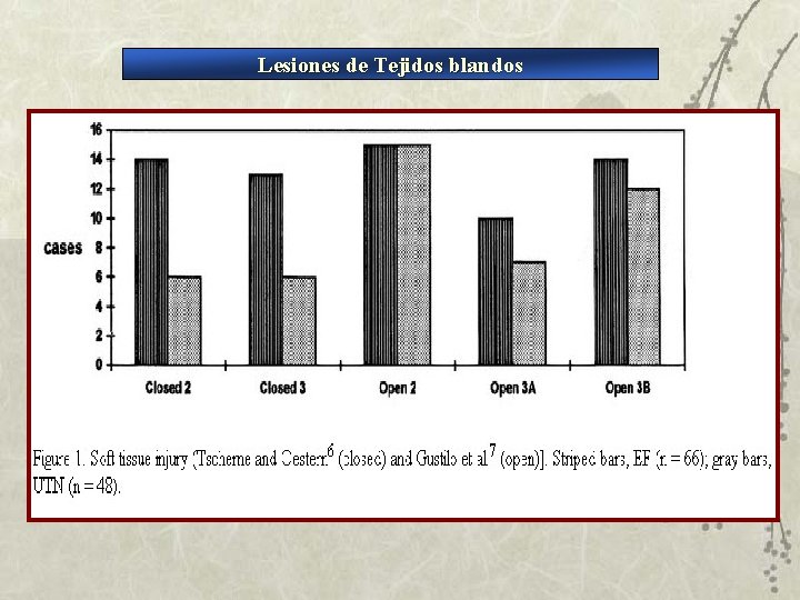 Lesiones de Tejidos blandos 
