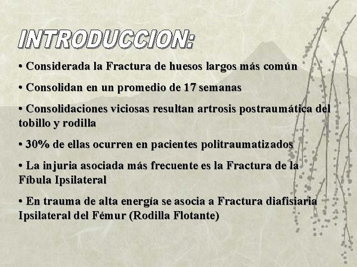  • Considerada la Fractura de huesos largos más común • Consolidan en un