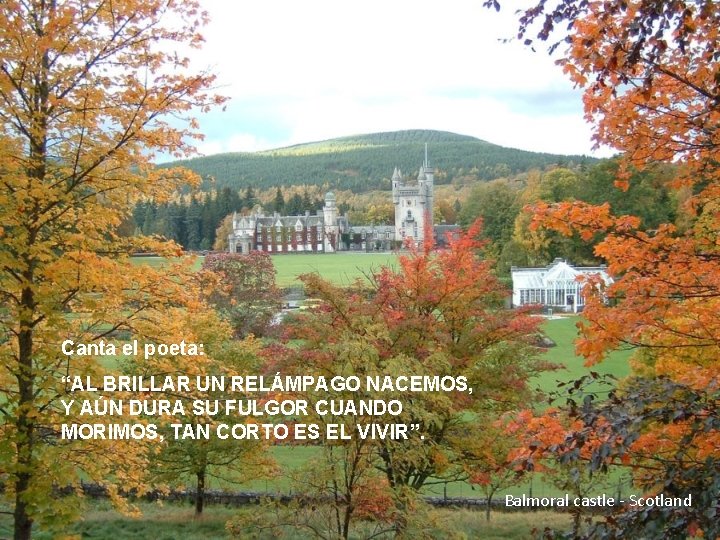 Canta el poeta: “AL BRILLAR UN RELÁMPAGO NACEMOS, Y AÚN DURA SU FULGOR CUANDO