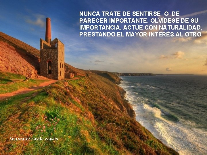 NUNCA TRATE DE SENTIRSE O DE PARECER IMPORTANTE. OLVÍDESE DE SU IMPORTANCIA. ACTÚE CON