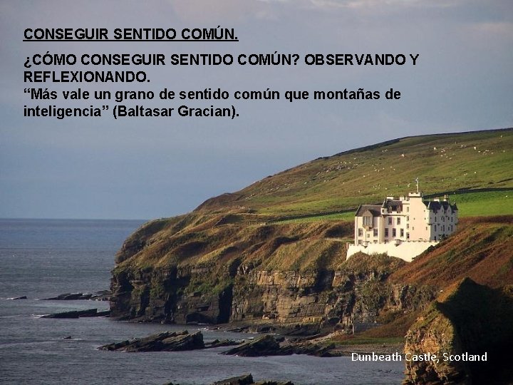 CONSEGUIR SENTIDO COMÚN. ¿CÓMO CONSEGUIR SENTIDO COMÚN? OBSERVANDO Y REFLEXIONANDO. “Más vale un grano
