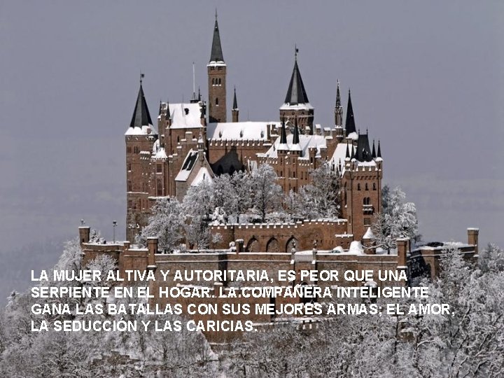 LA MUJER ALTIVA Y AUTORITARIA, ES PEOR QUE UNA SERPIENTE EN EL HOGAR. LA