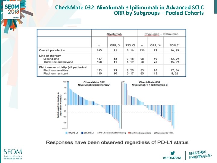 Check. Mate 032: Nivolumab ± Ipilimumab in Advanced SCLC ORR by Subgroups – Pooled