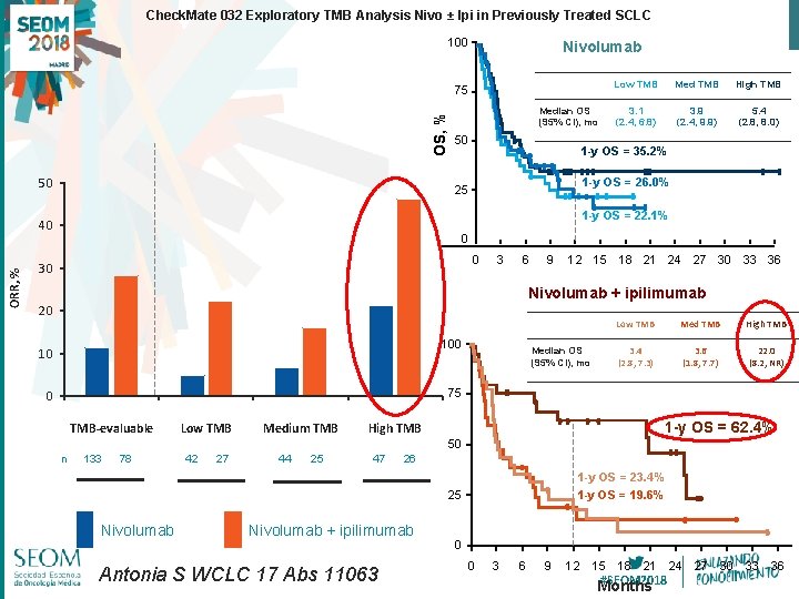 Check. Mate 032 Exploratory TMB Analysis Nivo ± Ipi in Previously Treated SCLC 100