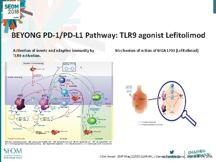 BEYONG PD-1/PD-L 1 Pathway: TLR 9 agonist Lefitolimod Activation of innate and adaptive immunity