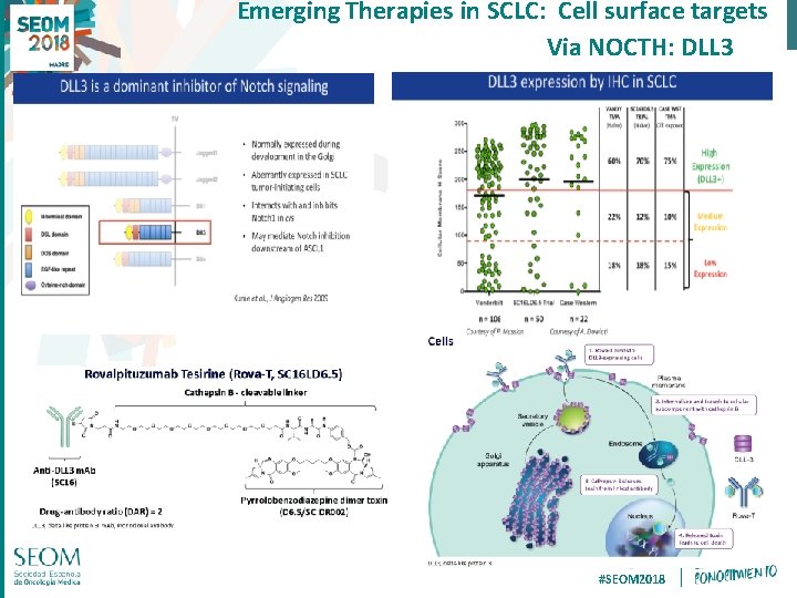 Emerging Therapies in SCLC: Cell surface targets Via NOCTH: DLL 3 #SEOM 2018 