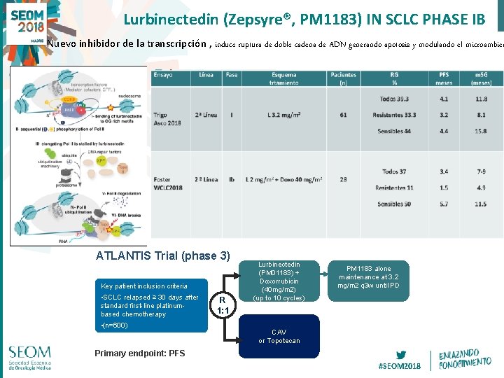 Lurbinectedin (Zepsyre®, PM 1183) IN SCLC PHASE IB Nuevo inhibidor de la transcripción ,