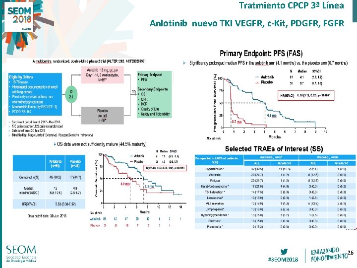 Tratmiento CPCP 3ª Línea Anlotinib nuevo TKI VEGFR, c-Kit, PDGFR, FGFR #SEOM 2018 26