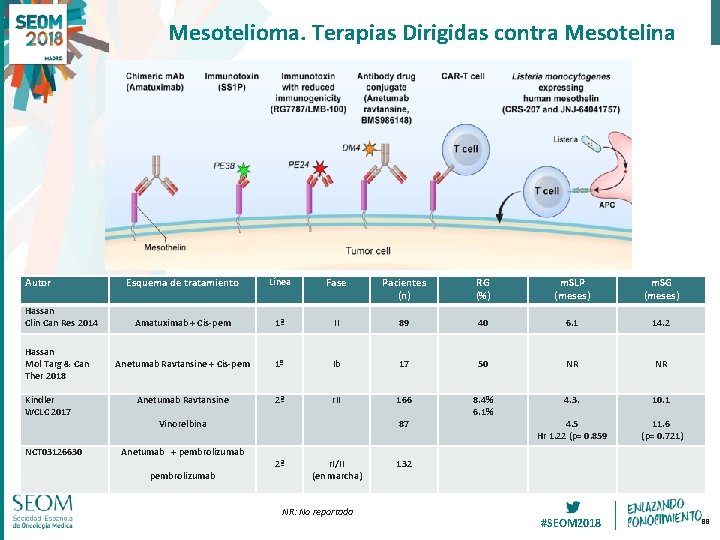 Mesotelioma. Terapias Dirigidas contra Mesotelina Autor Hassan Clin Can Res 2014 Hassan Mol Targ