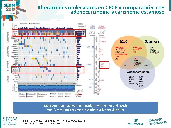 Alteraciones moleculares en CPCP y comparación con adenocarcinoma y carcinoma escamoso Most common inactivating