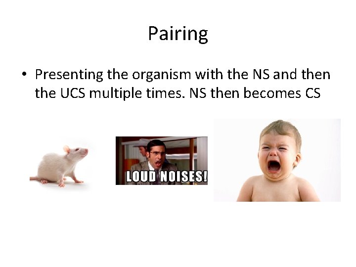 Pairing • Presenting the organism with the NS and then the UCS multiple times.