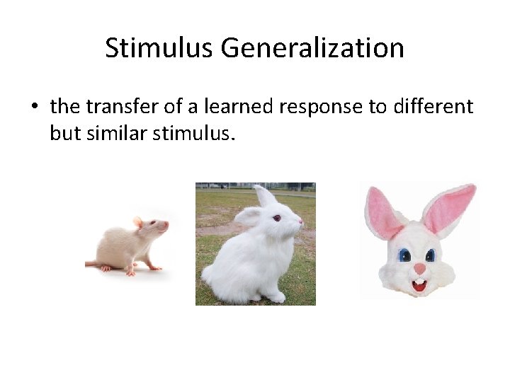 Stimulus Generalization • the transfer of a learned response to different but similar stimulus.